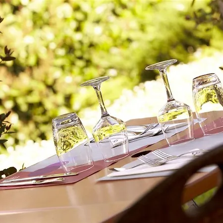 Kyriad Direct Hotel&restaurant 3* Roanne